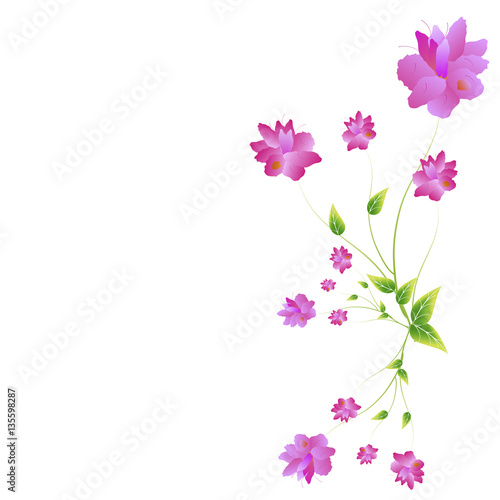 Fototapeta Naklejka Na Ścianę i Meble -  beautiful flowers