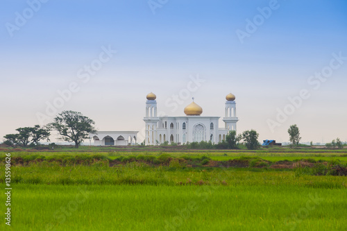 A  mosque stand on green field at morning time under clear sky located by ayuthaya province   Thailand