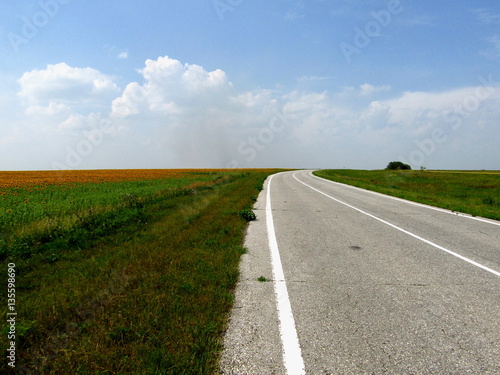 Asphalt road in the fields