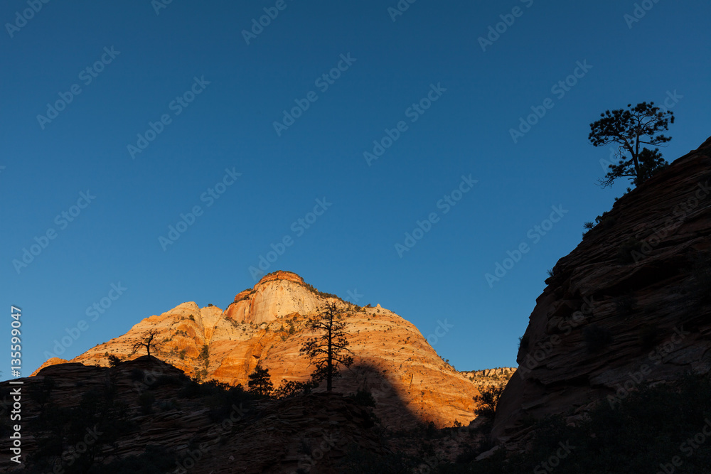 Fototapeta premium Sunrise at Zion National Park Utah