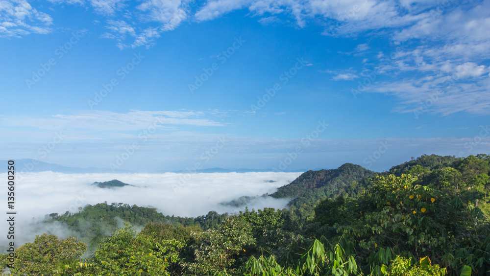 Morning mist in the forest. Kaeng Krachan. Petchaburi, Thailand.