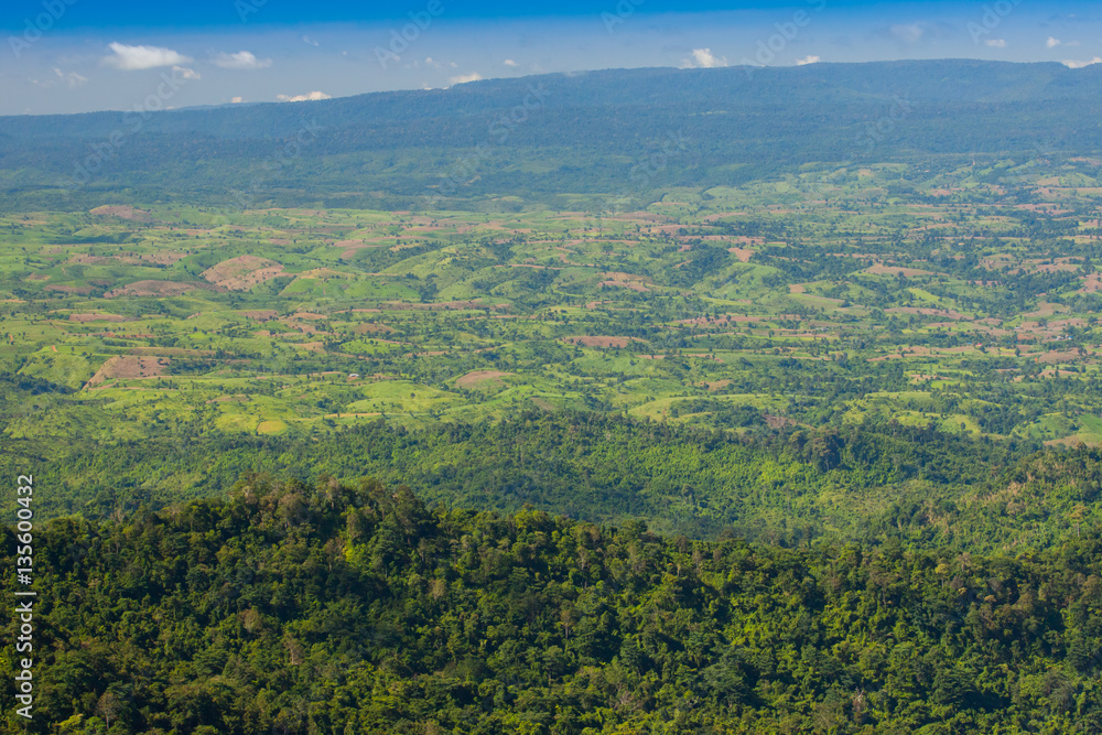 Fototapeta premium Green of land a mountain landscape with foggy background