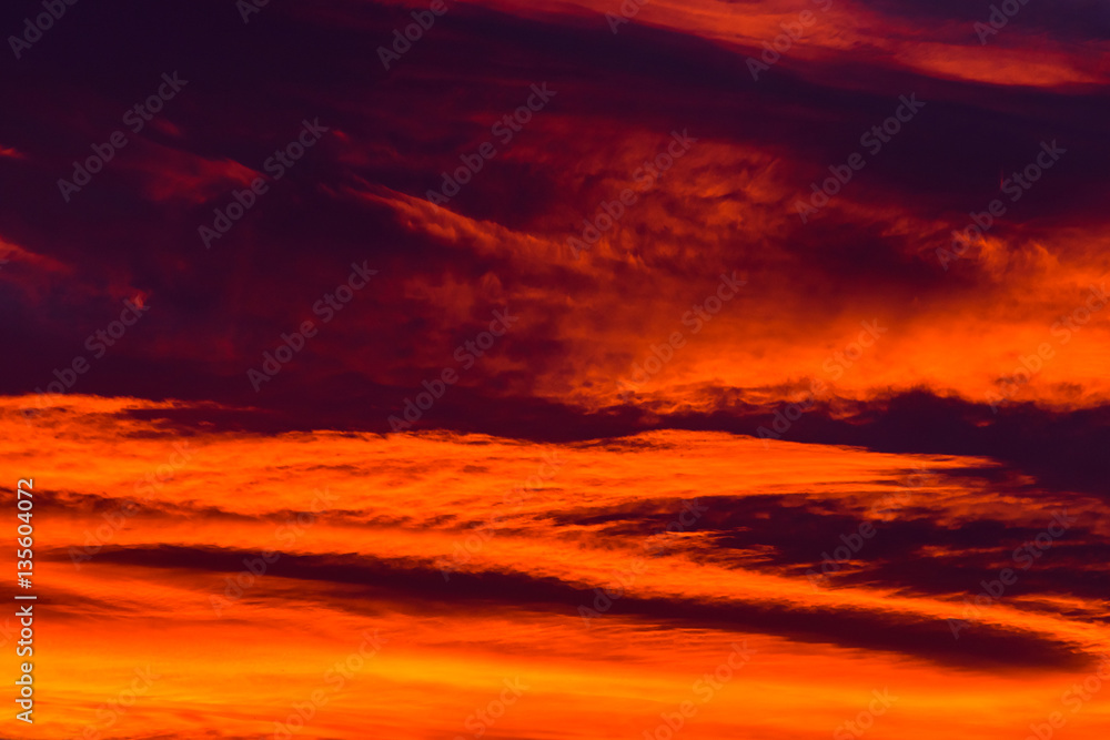 Fototapeta premium Beautiful Red And Orange Summer Sunset Sky