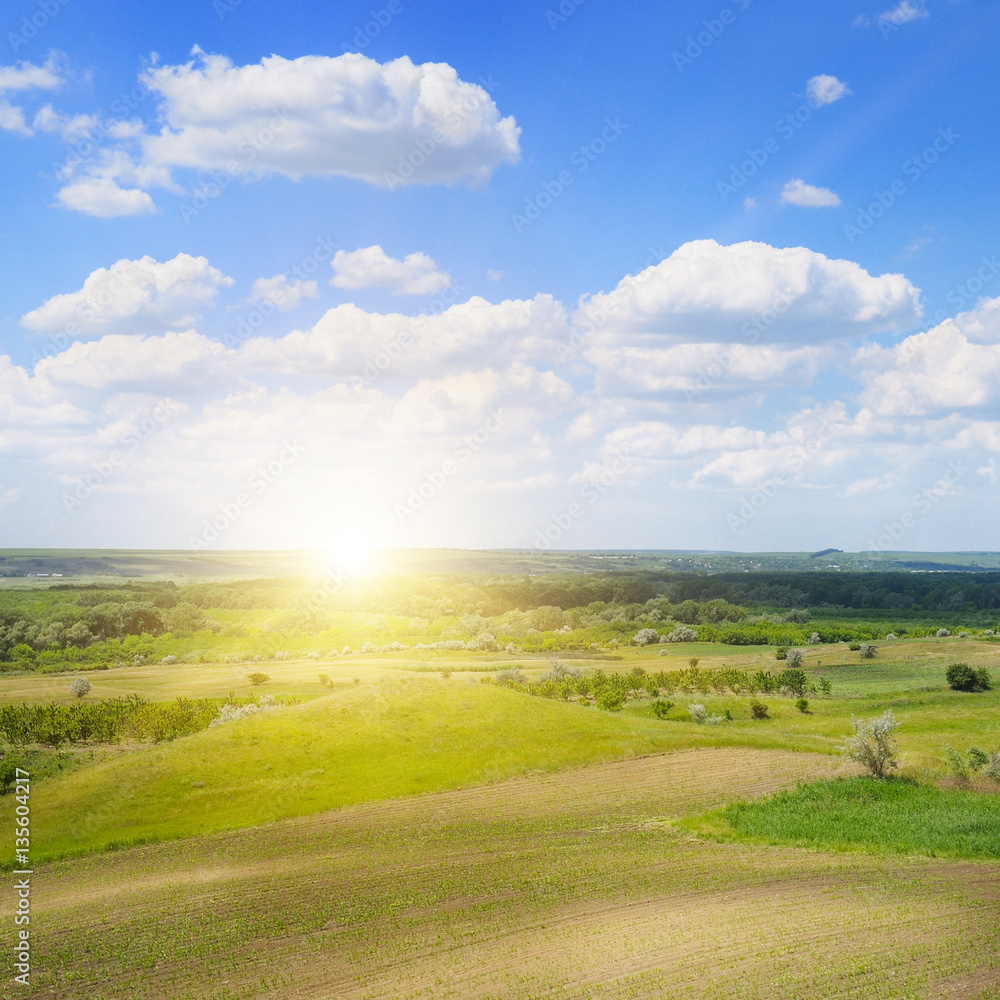 Obraz premium hilly terrain, spring field and sunrise on blue sky