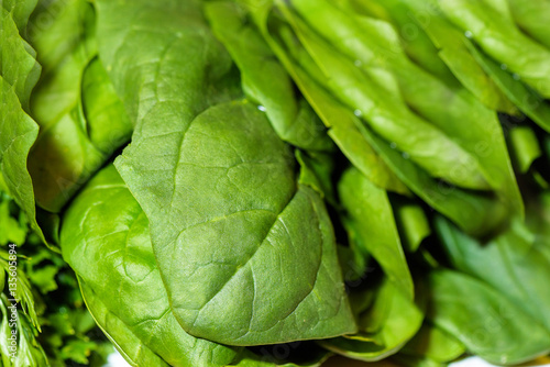 Fresh green spinach leaves detailed close up