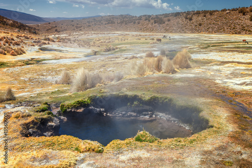 Andean geysers the Junthuma, formed by geothermal activity,  Sajama National Park, Bolivia.