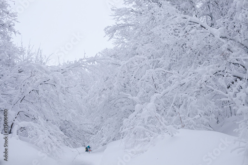 Winter snowy lanscape with road