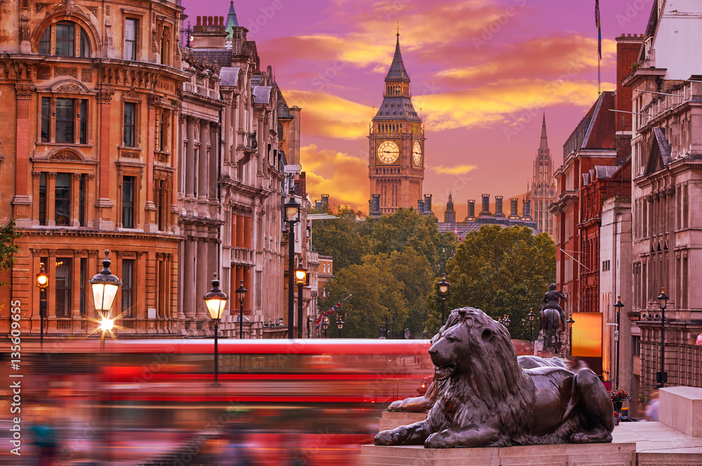 Obraz premium London Trafalgar Square lion and Big Ben