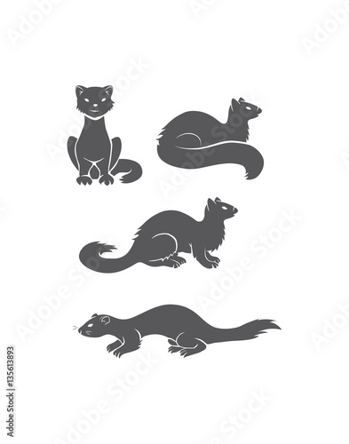 polecat