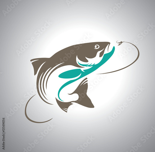 fish salmon