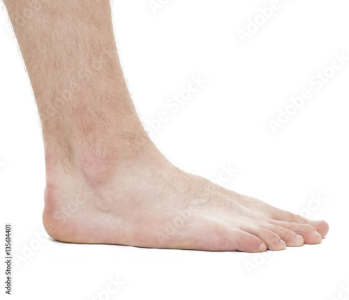 Foot - Anatomy Male - Studio photo isolated on white