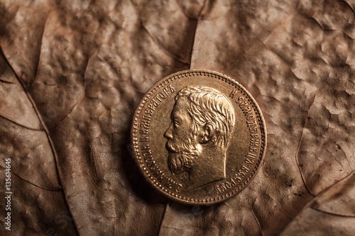 Portrait of the tsar Nikolay of the second Romanov on a gold coin, the last emperor of the Russian Empire against the background of yellow dry leaves Fototapeta