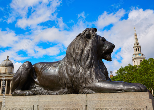 London Trafalgar Square Lion in UK