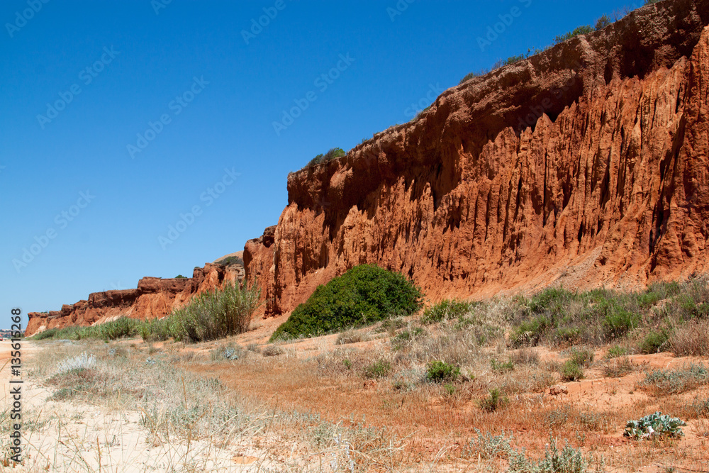 Fototapeta premium ungewöhnliche Landschaft