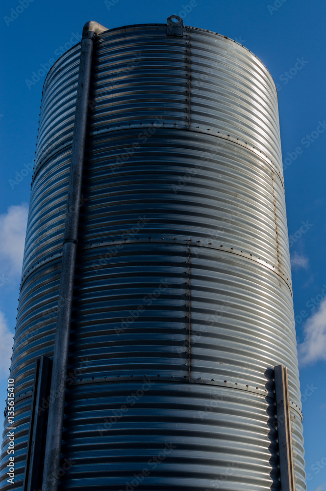 Metal silos with feed
