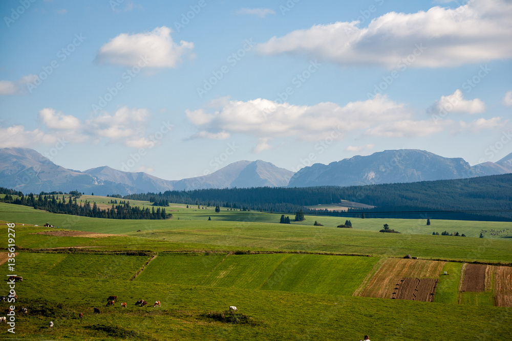 slovakian carpathian mountains in autumn