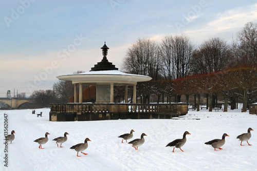 Glockenpavillon Milchpavillon Japanischer Pavillon Dresden im Winter mit Graugänsen photo