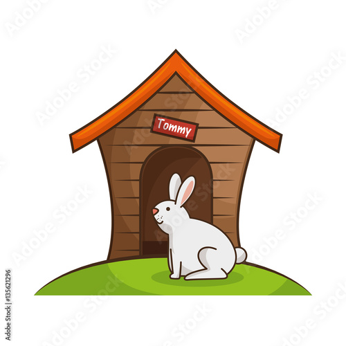 rabbit pet shop icon vector illustration design