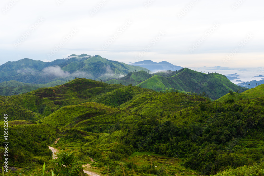 Obraz premium View point of