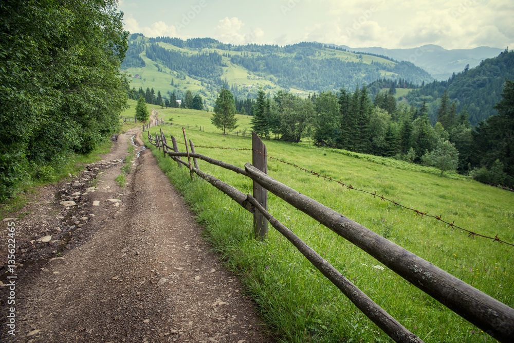 trail in the Carpathian mountains in summer