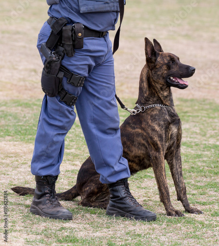 Police Dog and Handler