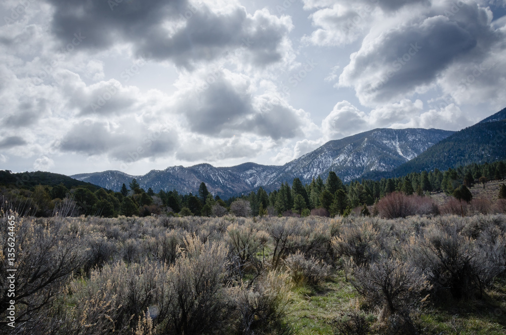 Springtime snow capped mountains on a cloudy day at Dixie National Forest in Utah. Springtime snow capped mountains on a cloudy day at Dixie National Forest in Utah.