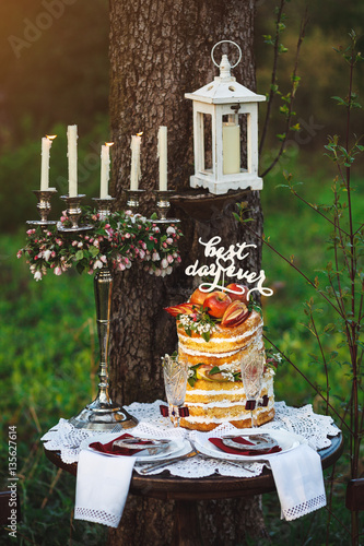 Romantic dinner for two in the apple garden. Table, plates, cake and candles. Wedding concept. Romantic atmosphere