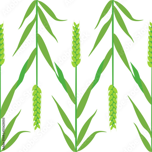 Seamless pattern with ear of wheat in vector. Concept for organic products