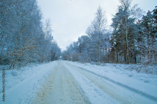 winter road in the forest twilight track © RomanovRV
