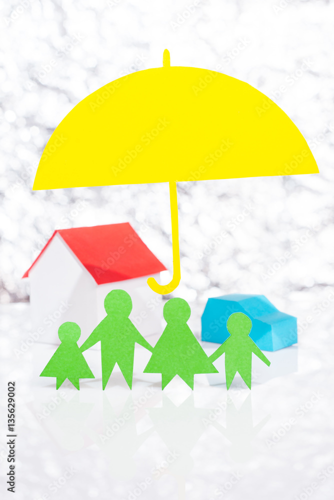 Insure the family, car and house