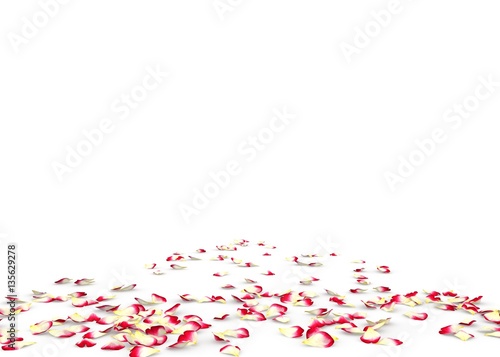 Red rose petals scattered on the floor