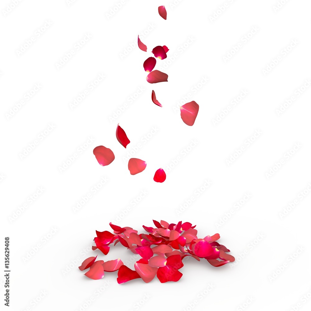 Rose petals fall to the floor Rose petals fall to the floor