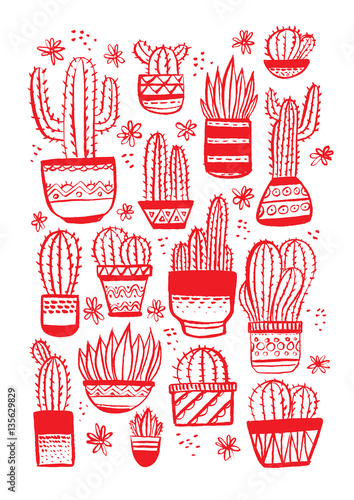 Potted Cactus Garden