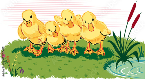 Ducklings hidden among the tall grass bushes.