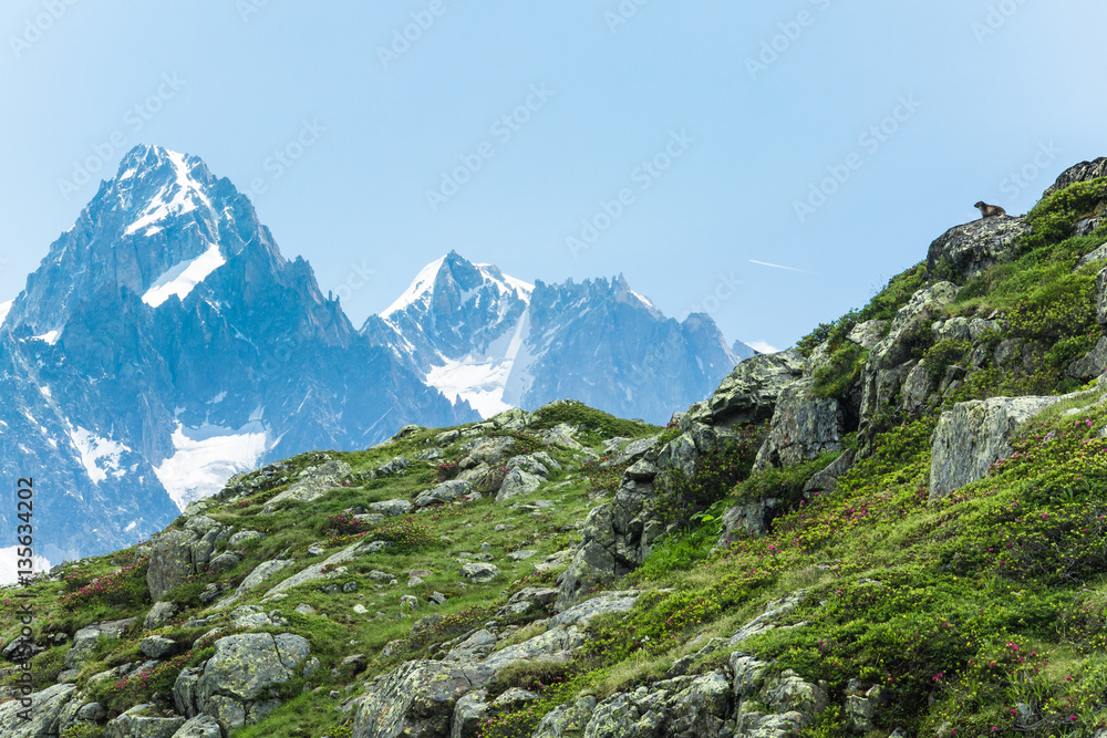 Boulder field and grassy meadows in the French Alps above Chamonix.