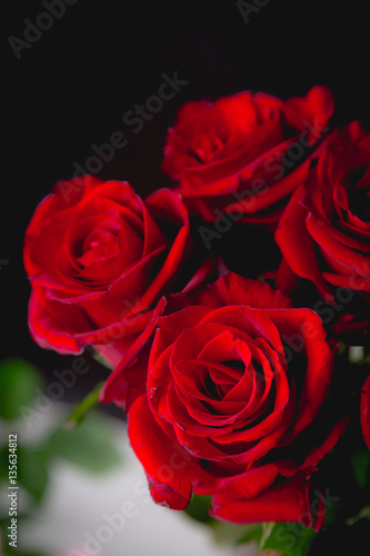 Beautiful valentines roses on dark background