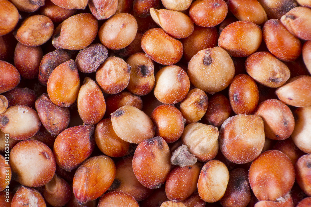 Millets form a group of several cereal crops with small seed, possess a high protein content and require little water to grow. This is also a cereal of solid economy Millets form a group of several cereal crops with small seed, possess a high protein content and require little water to grow. This is also a cereal of solid economy
