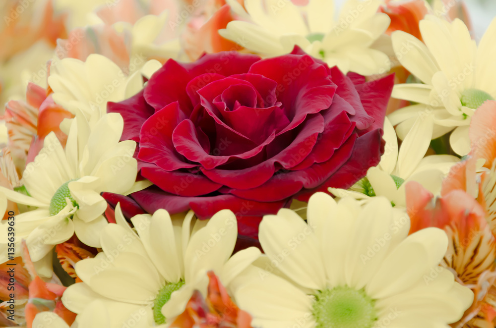 Fototapeta premium A bouquet of flowers with a focus on the rose.