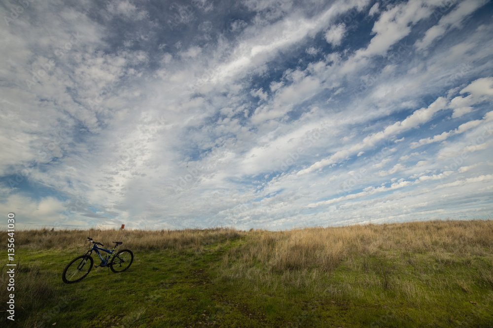 Fototapeta premium field