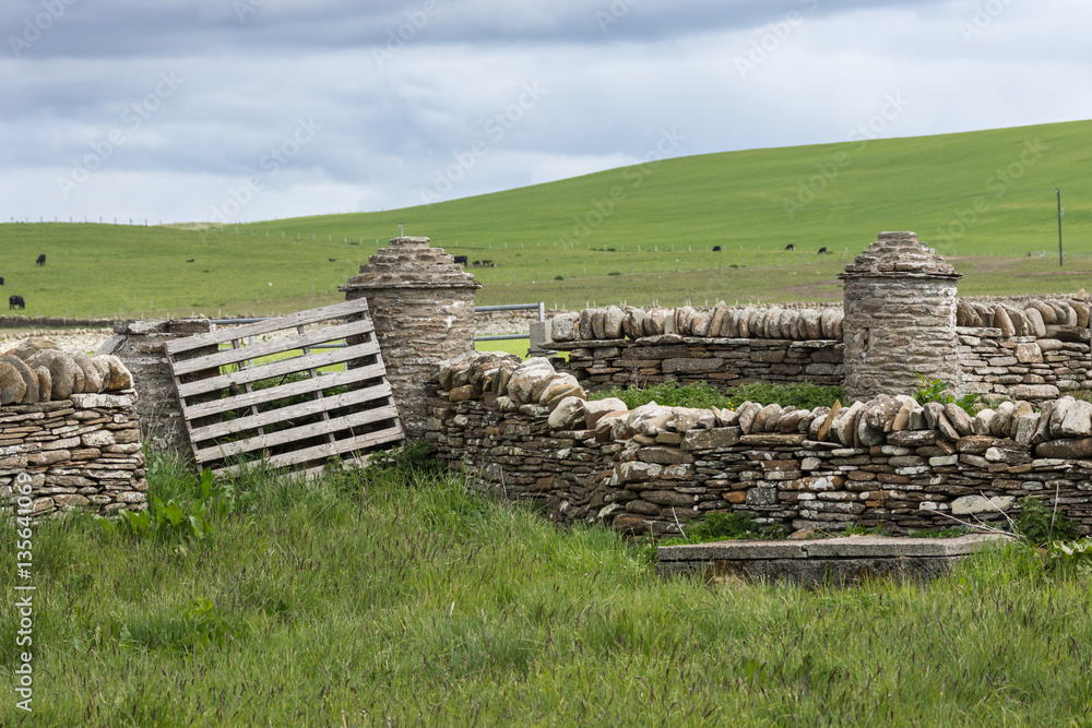 Orkneys, Scotland - June 5, 2012: The wider area around Skara Brae Neolithic settlement shows green meadows and gray-brown stone walls. Light blue sky and black sheep on the grass. Orkneys, Scotland - June 5, 2012: The wider area around Skara Brae Neolithic settlement shows green meadows and gray-brown stone walls. Light blue sky and black sheep on the grass.