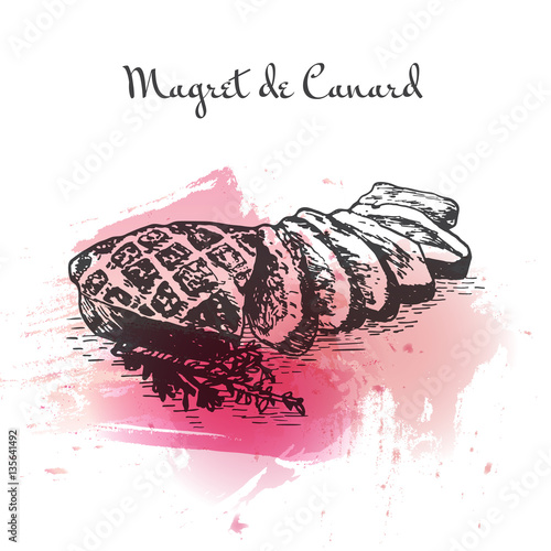 Magret de Canard watercolor effect illustration.