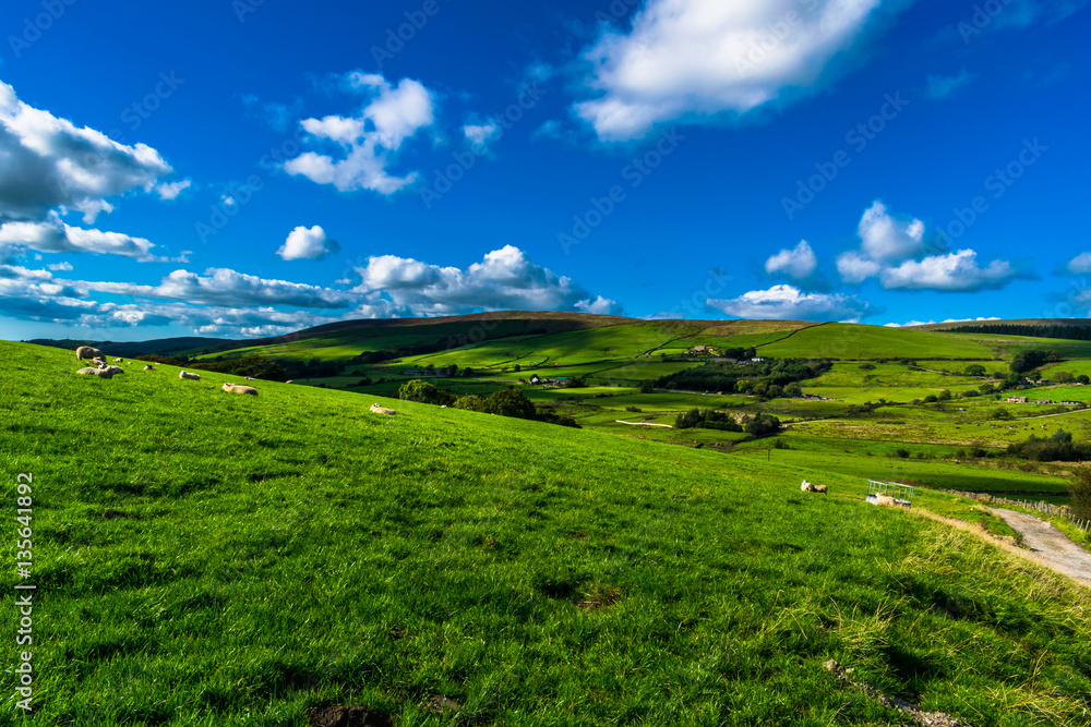 Farm On English Countryside, Forest Of Bowland, Lancashire, England UK