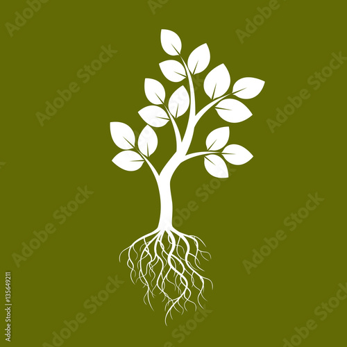 White Tree and Green Background. Vector Illustration.