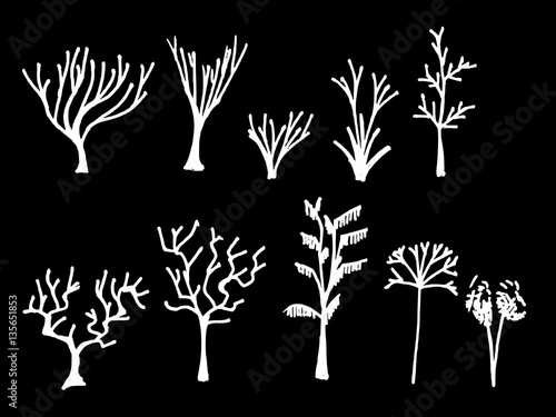 Vector Collection of Chalkboard Style Tree eps10