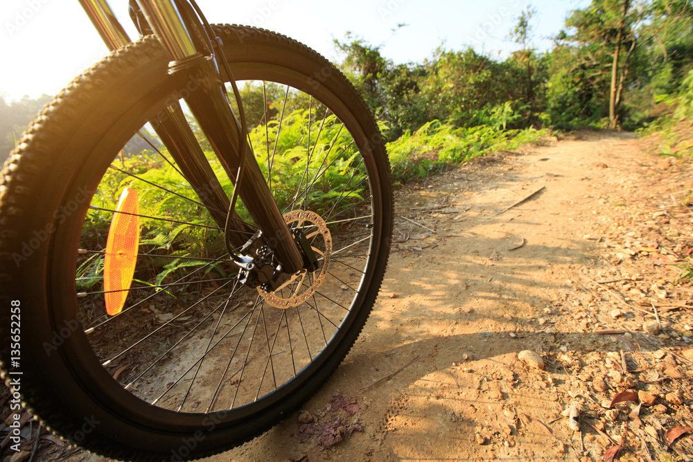 riding mountain bike on forest trail riding mountain bike on forest trail