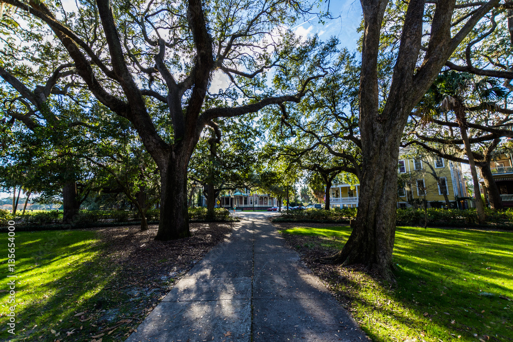 A Warm day at Forsyth Park in Savannah, Georgia Shaded by Magnol