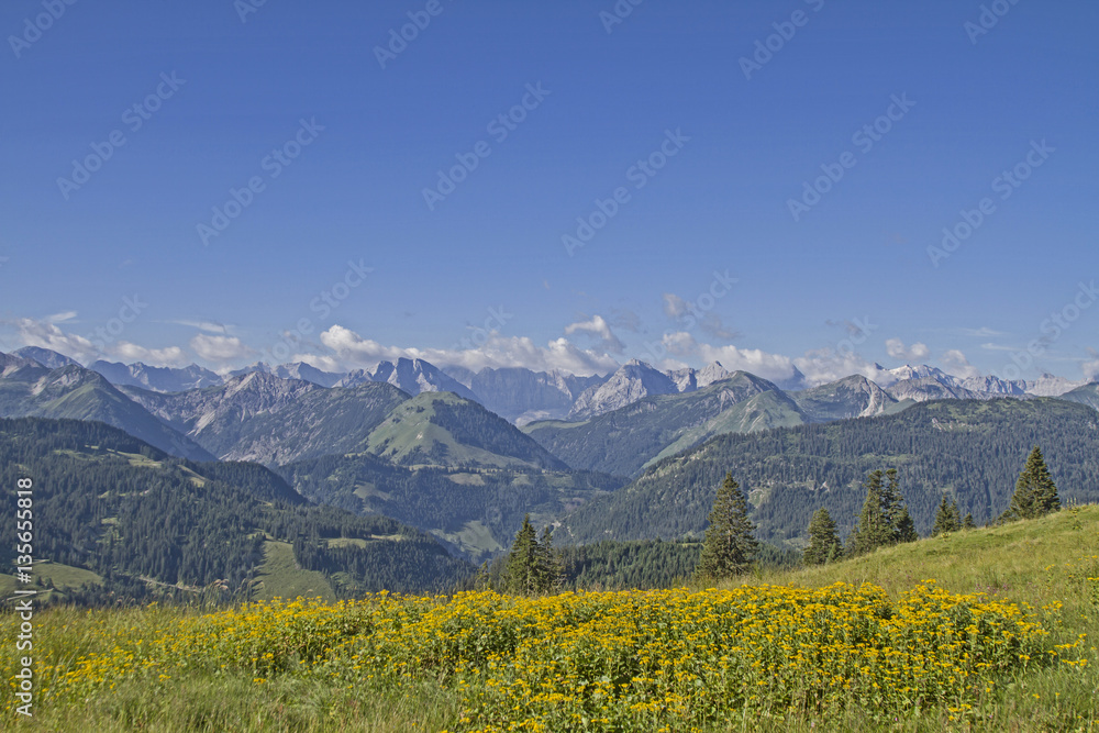 Sommer im Karwendel