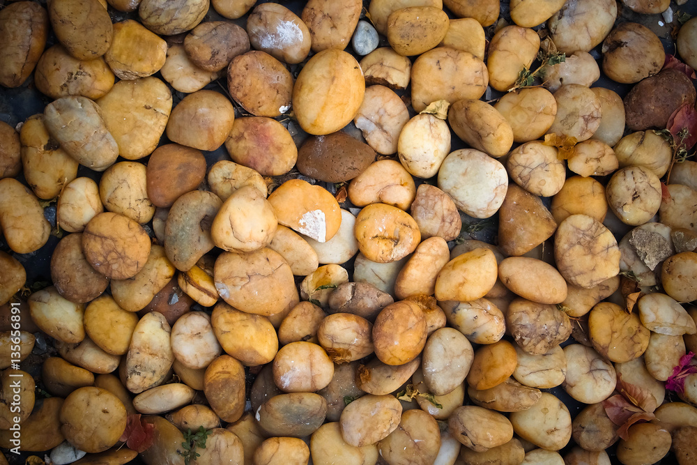 river rocks background