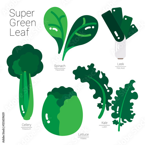 SUPER GREEN LEAF
Green vegetables illustrated in simple shapes with nutritions information. 