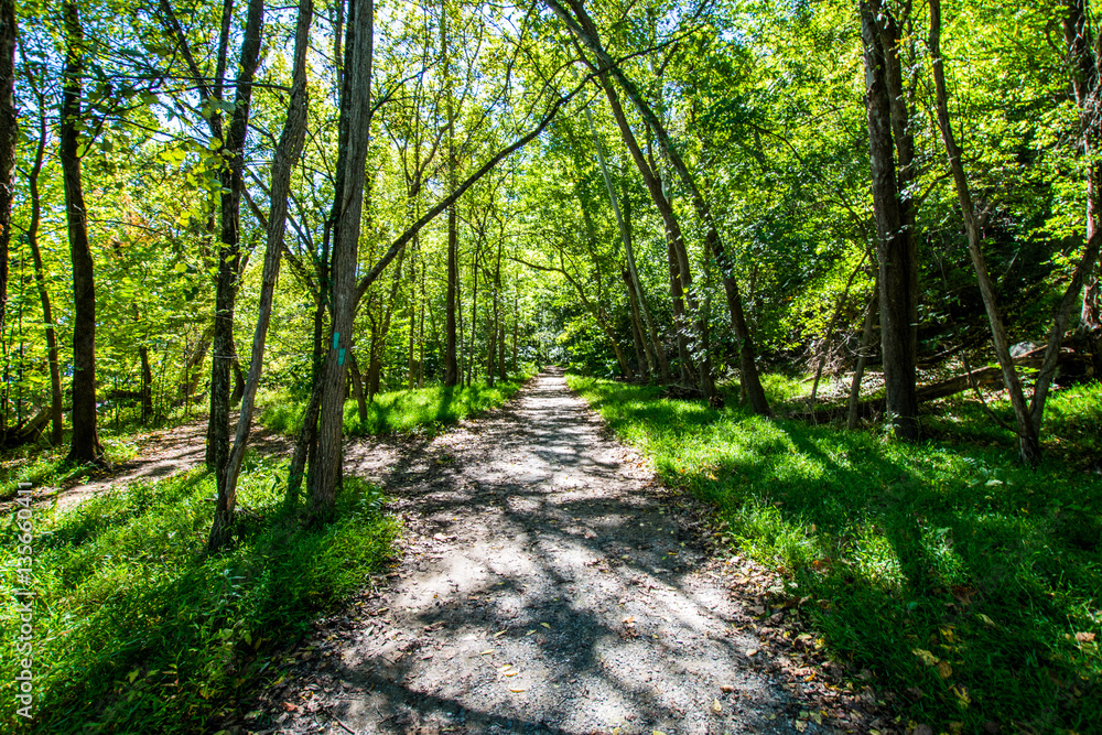 Obraz premium Shore Line of Great Falls Park, Virginia Side Summer time